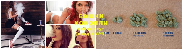 эйфоретик Липки