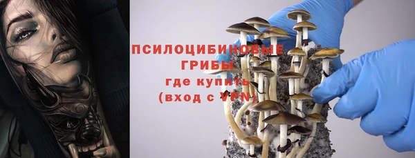 эйфоретик Липки