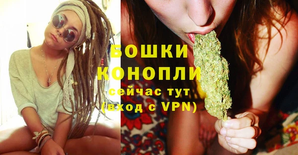 эйфоретик Липки