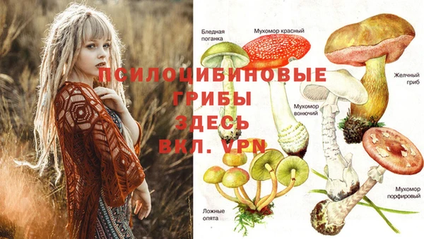прущие крисы Лиски
